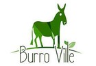 1409915667burro_ville.JPG